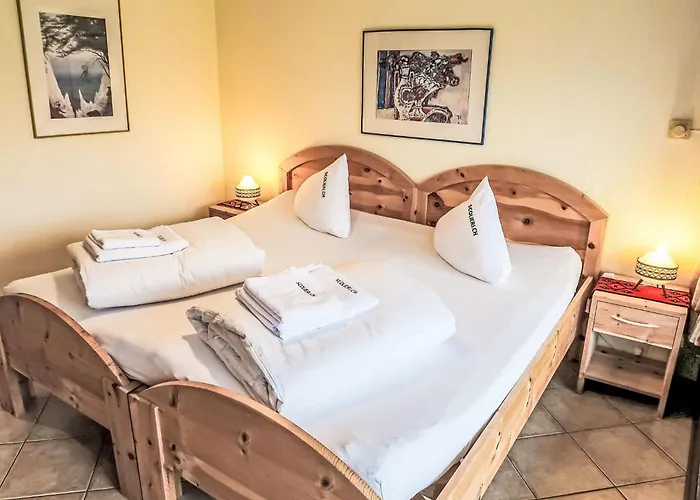 B 014 By Interhome Appartement Disentis